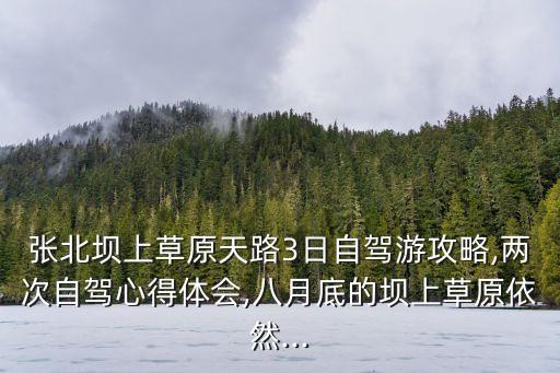 中都草原旅游攻略,草原天路上路旅行攻略張家口:每年68月草原花開