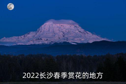 道林古鎮,道林古鎮有特殊通道可以進去嗎?