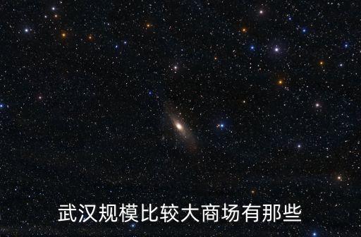 魯巷廣場購物中心,中百集團下的中百倉儲和中百超市，易初蓮花百貨