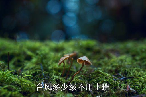臺風(fēng)停工標(biāo)準(zhǔn),臺風(fēng)預(yù)警什么顏色警戒停工?看這里!