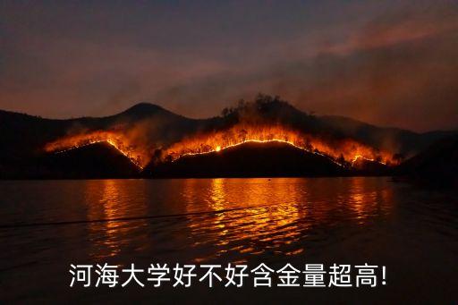 南京河海大學,南京河海大學是211嗎?