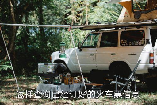 查詢車票訂單,如何查詢兒童火車票訂單?