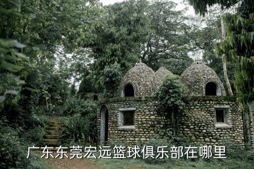 廣東東莞宏遠(yuǎn)籃球俱樂部在哪里