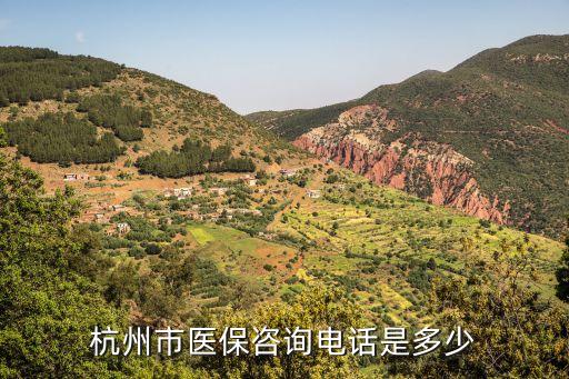 杭州市醫(yī)保咨詢電話是多少