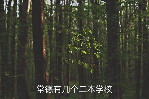 常德有幾個二本學校