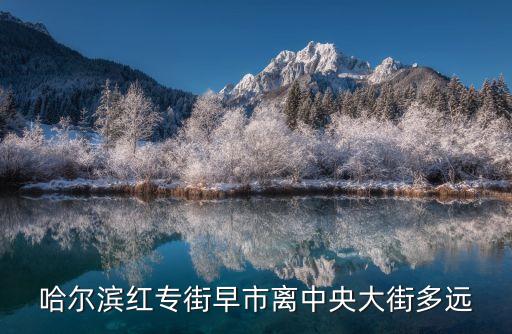 哈爾濱早市,哈爾濱早市免費開放營業幾點結束?