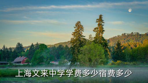 文來高中,上海市初中學校排名出爐文來中學怎么樣?