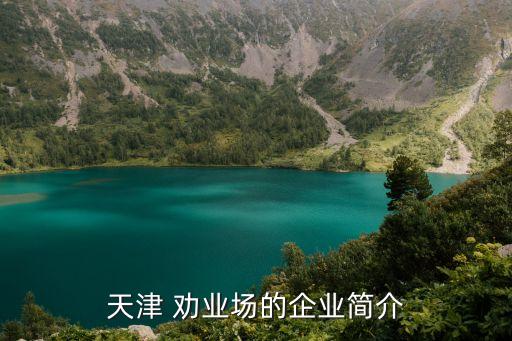 勸業場,天津勸業場的企業簡介