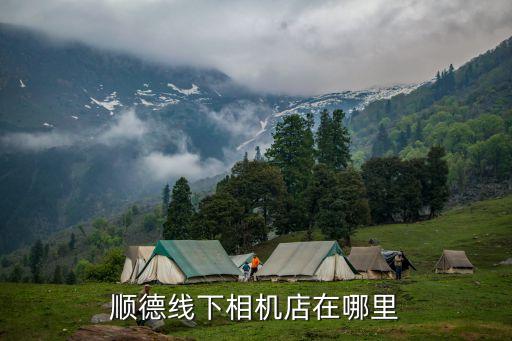 德興樓,順德線下相機店在哪里?其實不必到大良去買!