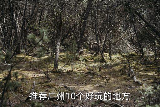 廣州有什么好玩的景點,廣州有什么好玩的地方?