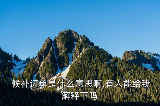  候補(bǔ)訂單是什么意思啊,有人能給我解釋下嗎