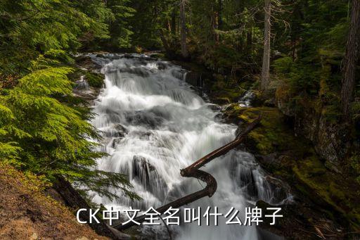 ck的全稱是什么,關于小ck你必須知道的事情