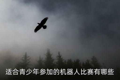 適合青少年參加的機器人比賽有哪些