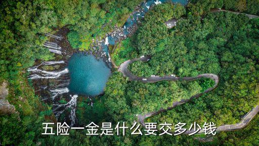 五險一金繳費標準,五險一金最低繳費標準法律分析