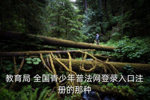 全國青少年普法網登錄,怎么登錄青少年普法網?