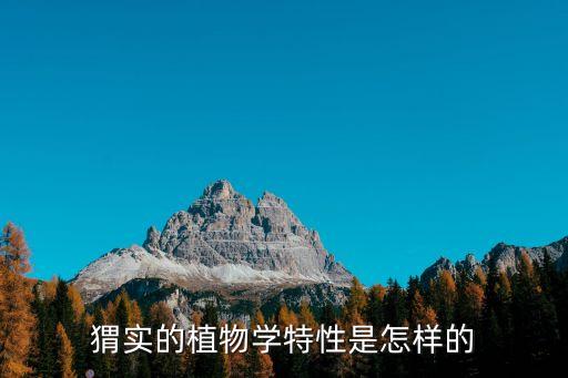 猬實的植物學特性是怎樣的
