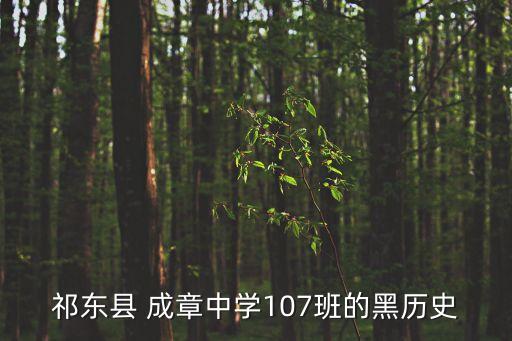 成章中學,湖南衡陽成龍成章中學高中錄取分數線公布