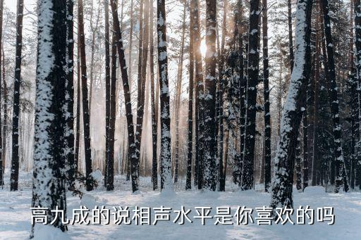  高九成的說相聲水平是你喜歡的嗎