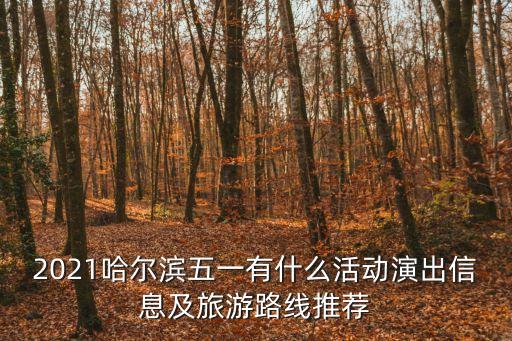 哈爾濱網紅橋,哈爾濱七一將亮燈保障城市亮化質量