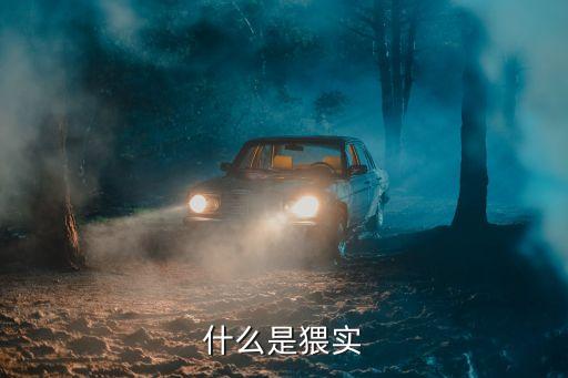猬實花,美麗的植物猬實怎么養(yǎng)護?