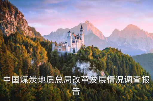 中國(guó)煤炭地質(zhì)總局改革發(fā)展情況調(diào)查報(bào)告
