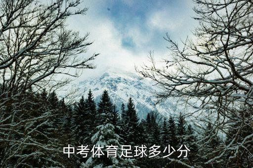中考足球,河南中考足球考試規則:男生女生可自愿參加考試