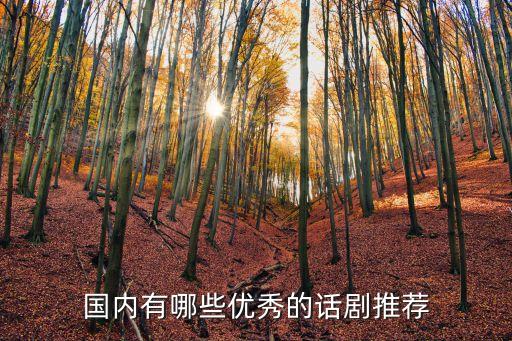 國內有哪些優秀的話劇推薦