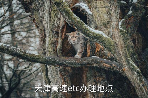 etc營業廳,中午有哪些財務狀況?