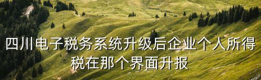 四川電子稅務(wù)系統(tǒng)升級(jí)后企業(yè)個(gè)人所得稅在那個(gè)界面升報(bào)