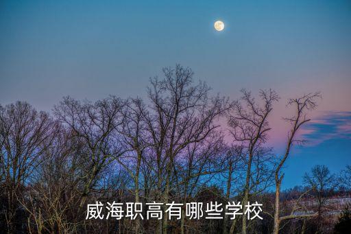 山東威海職業學院,威海的大學有哪些?