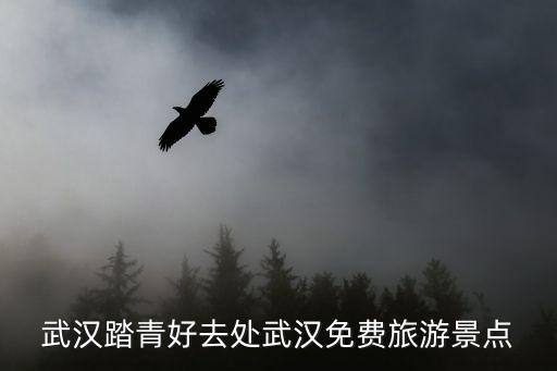 武漢踏青好去處武漢免費旅游景點