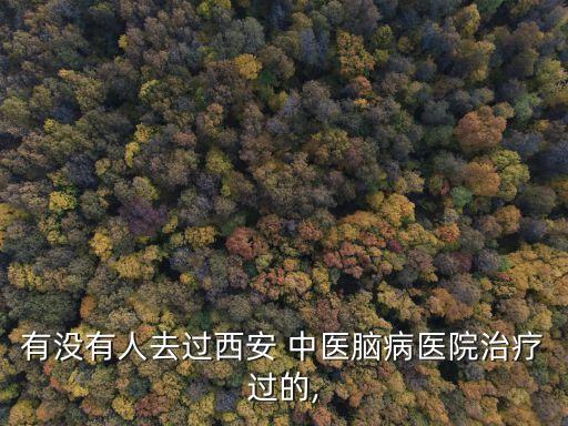 中醫(yī)腦病醫(yī)院,西安中醫(yī)腦病醫(yī)院成立?
