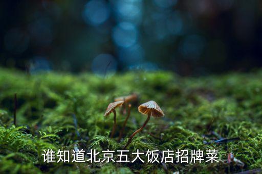 誰知道北京五大飯店招牌菜