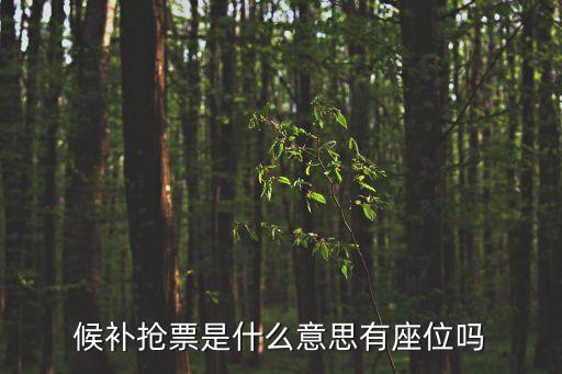 什么叫候補(bǔ)搶票,火車候補(bǔ)搶票有何不同?