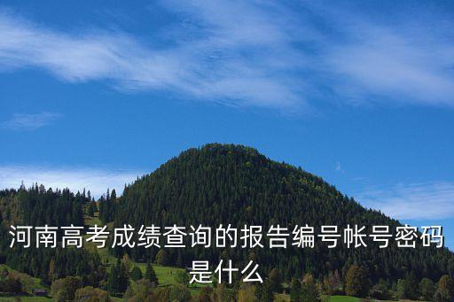 河南高考成績(jī)查詢的報(bào)告編號(hào)帳號(hào)密碼是什么