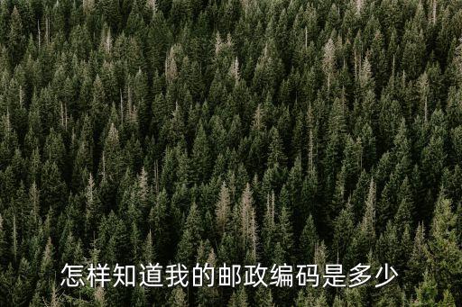 怎樣知道我的郵政編碼是多少