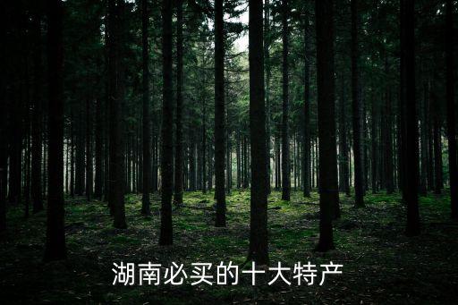 湖南必買的十大特產