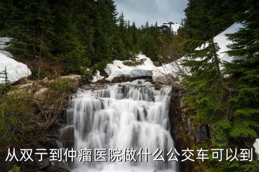 725路公交車,從雙到仲瘤醫(yī)院做什么公交車?
