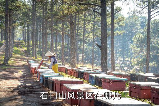 石門山,大連石門山景區門票多少錢?