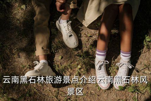 石林風景區門票價格,石林風景區門票價格如何?