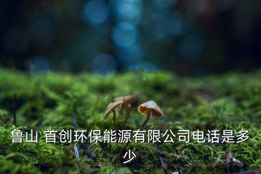 魯山 首創(chuàng)環(huán)保能源有限公司電話是多少
