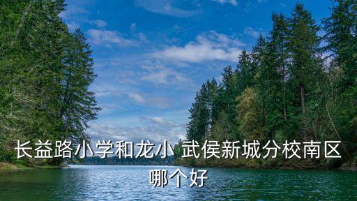 長益路小學和龍小 武侯新城分校南區哪個好