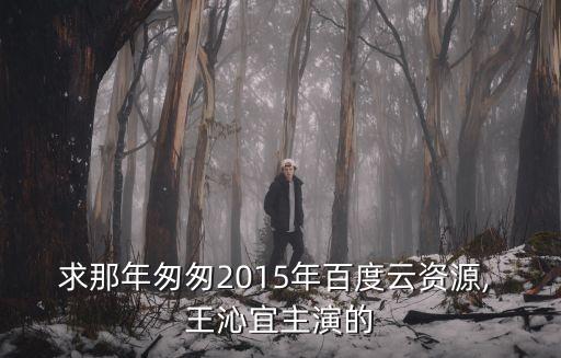 王沁宜,王沁宜飾演司徒禮馮峰執(zhí)導(dǎo)影片