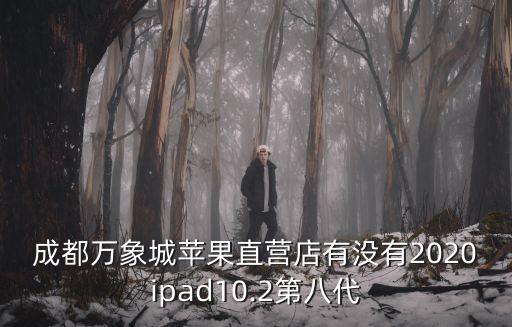 成都萬象城蘋果直營店有沒有2020ipad10.2第八代