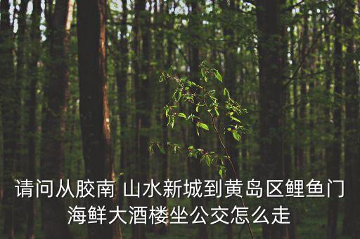 請問從膠南 山水新城到黃島區鯉魚門海鮮大酒樓坐公交怎么走
