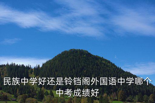民族中學好還是鈴鐺閣外國語中學哪個中考成績好