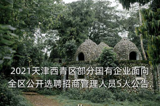 西青開(kāi)發(fā)區(qū),天津西青經(jīng)濟(jì)開(kāi)發(fā)區(qū)遠(yuǎn)期規(guī)劃面積為13019平方公里