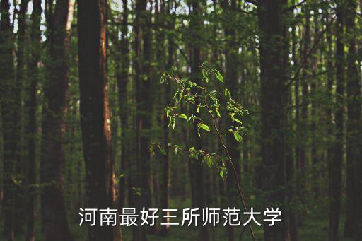 新鄉師范學院,新鄉有哪些大學本科院校?