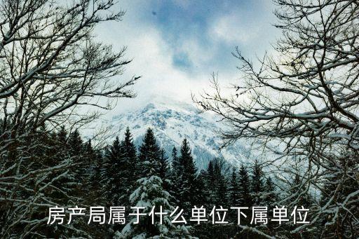 南京審計(jì)局,南審審計(jì)專(zhuān)業(yè)簡(jiǎn)介培養(yǎng)具有創(chuàng)新意識(shí)和繼續(xù)發(fā)展?jié)摿?fù)合型應(yīng)用人才