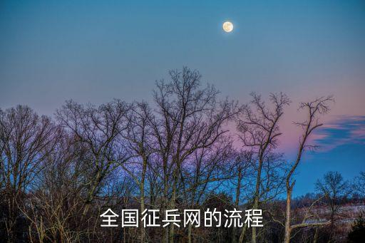 兵役登記網,網上兵役登記流程